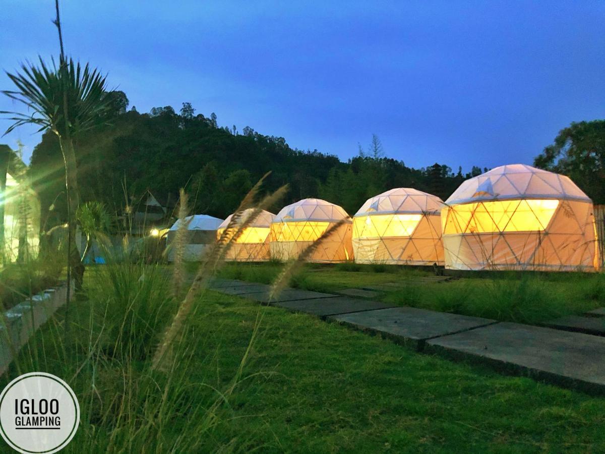 Igloo Glamping Bali Hotel Kintamani Buitenkant foto