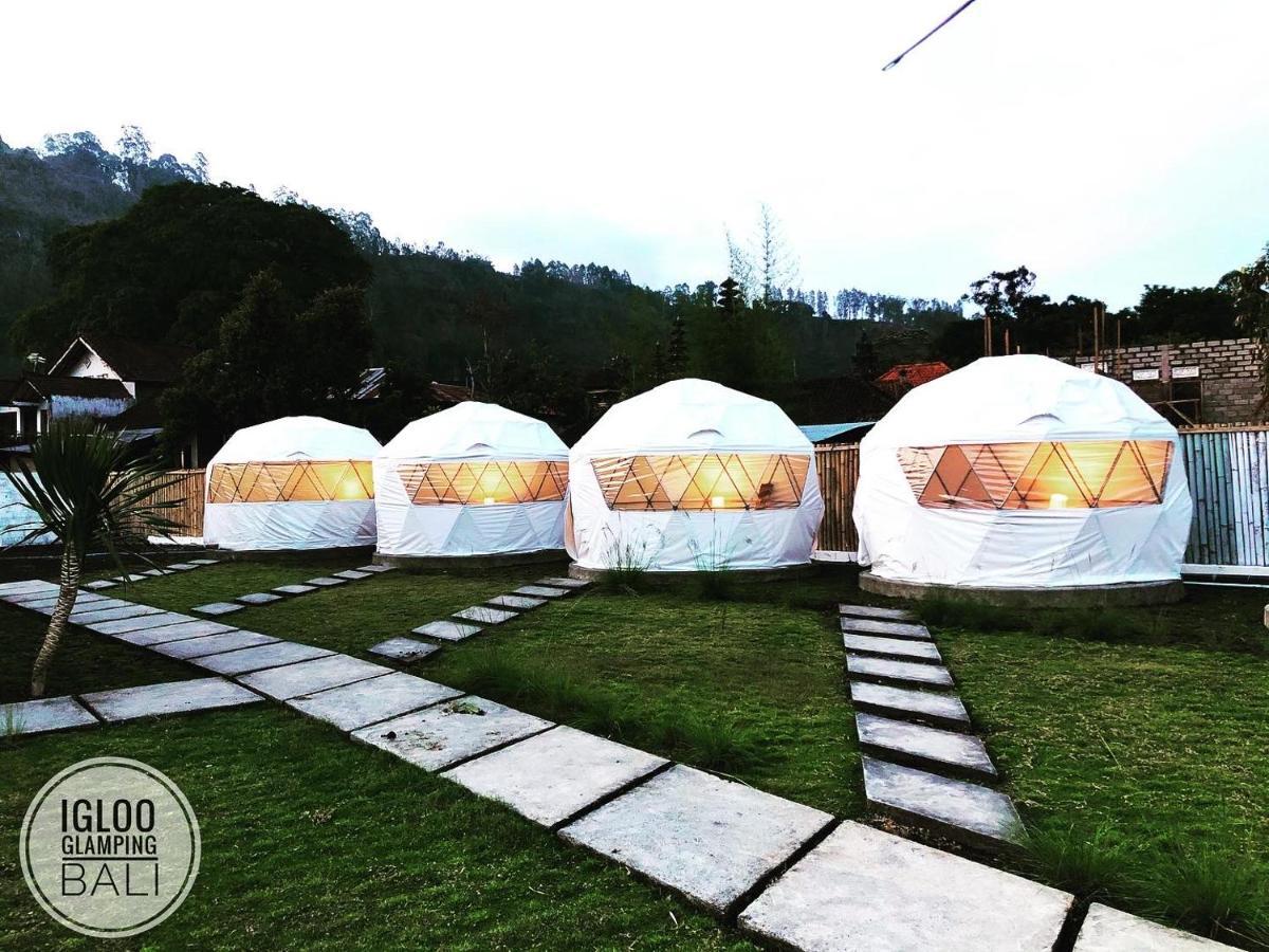 Igloo Glamping Bali Hotel Kintamani Buitenkant foto