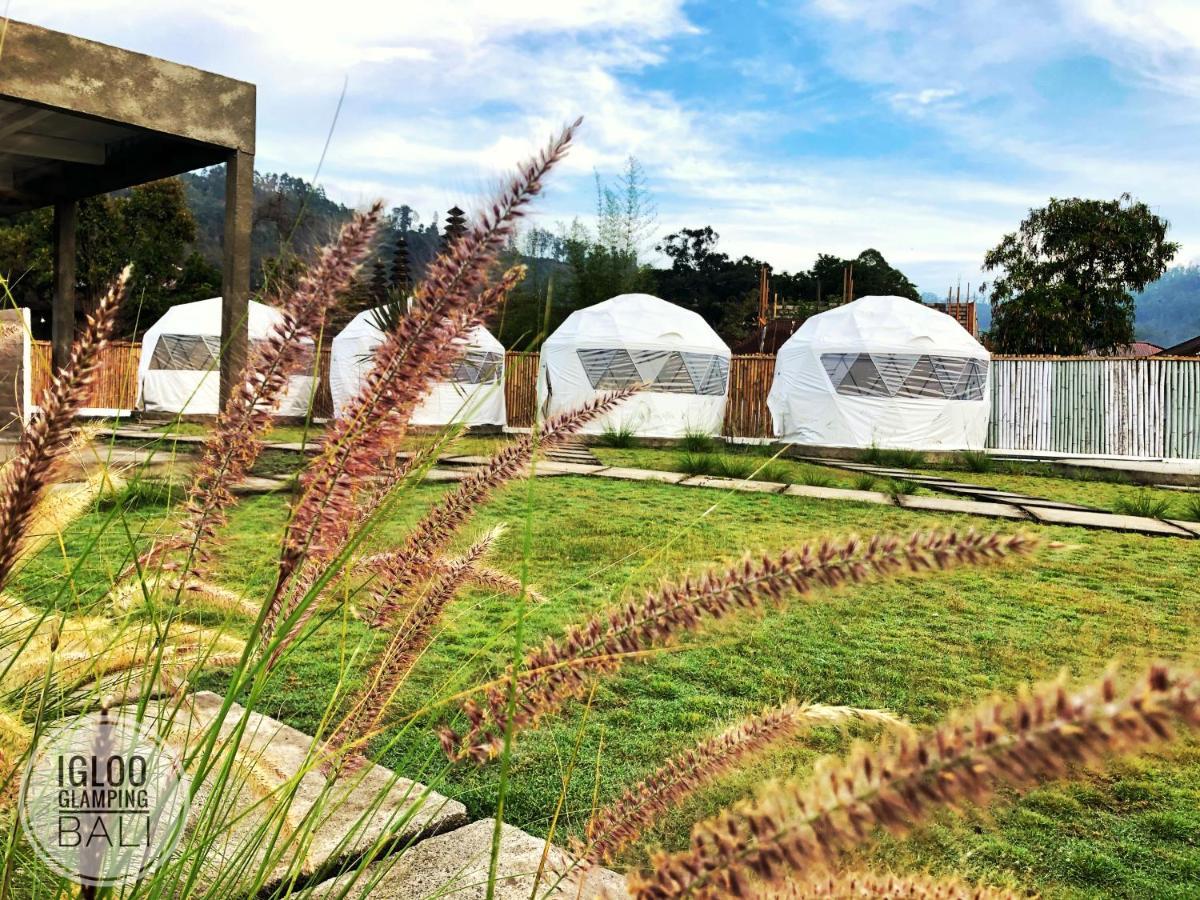 Igloo Glamping Bali Hotel Kintamani Buitenkant foto