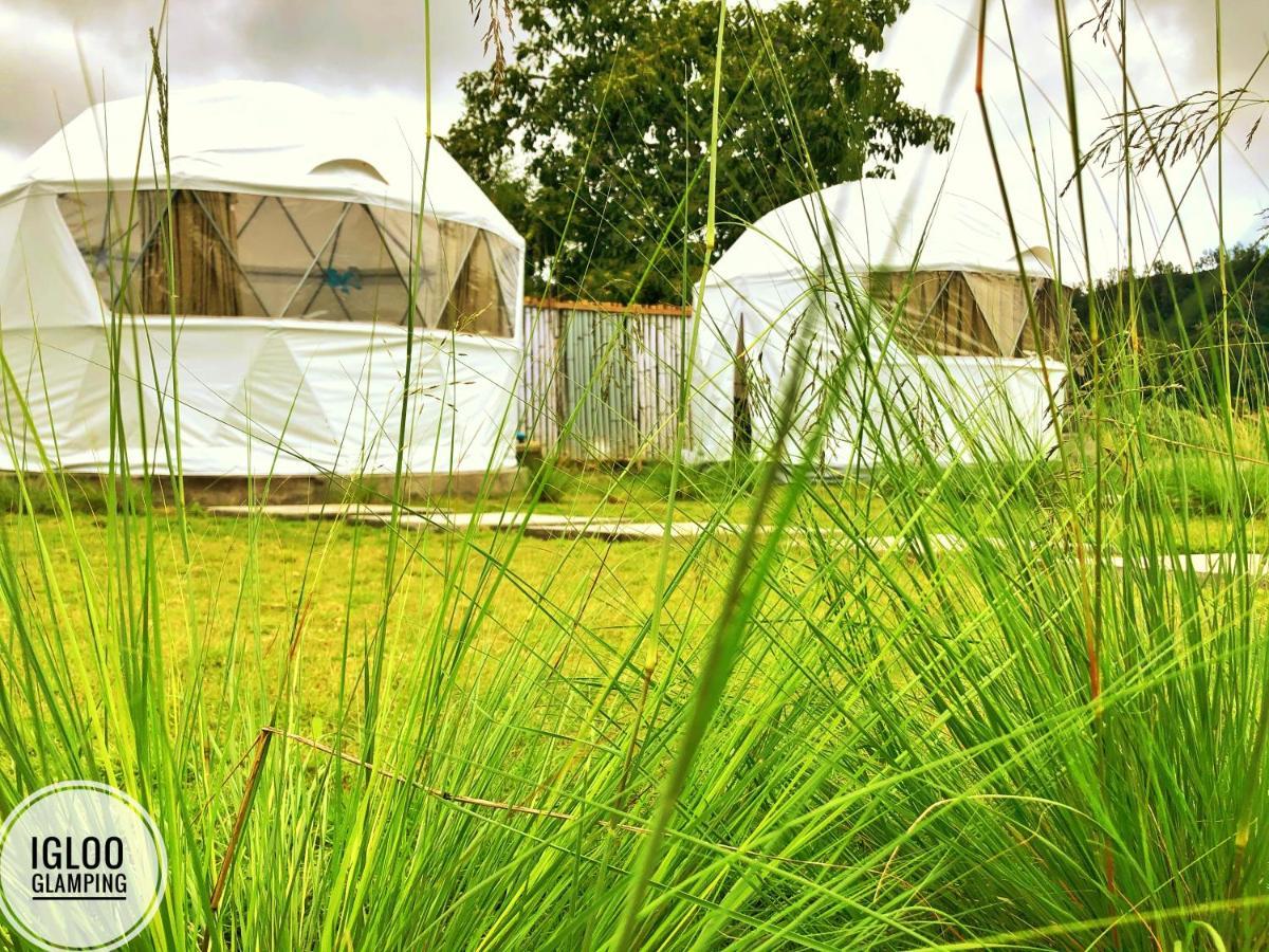 Igloo Glamping Bali Hotel Kintamani Buitenkant foto